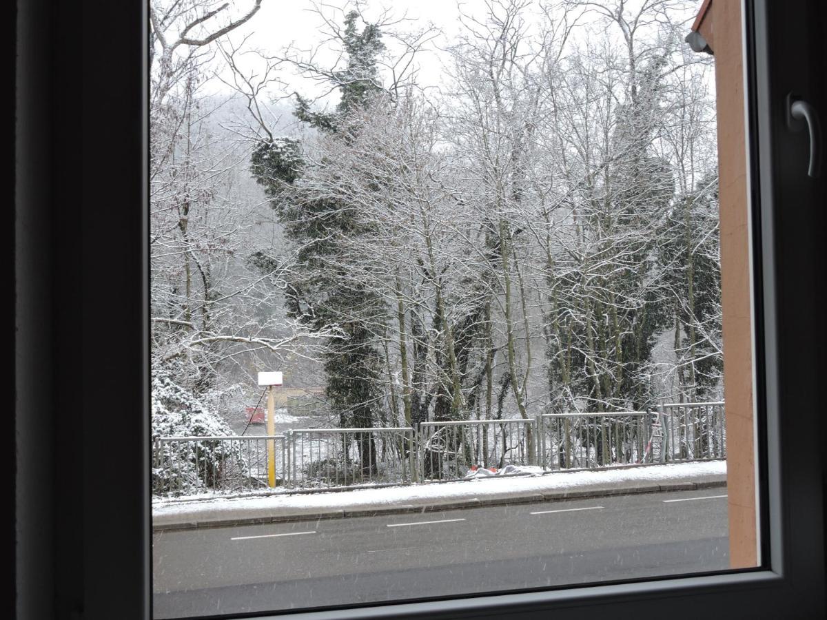 Ferienwohnungen Haus Scheidter 40 Saarbrücken Esterno foto